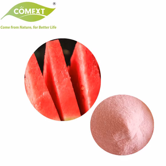 Fruto instantâneo orgânico liofilizado natural puro da melancia da solubilidade em água